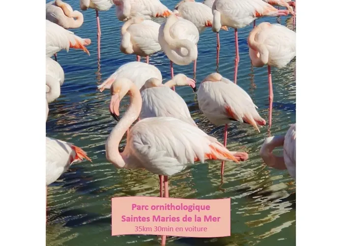 Le Vue Nouveau ! 1ere Ligne Parking Prive Wifi 4 Personnes - Rossiconciergerie - Linge Inclus